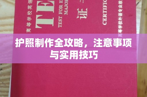 惠阳护照制作全攻略，注意事项与实用技巧