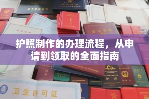 惠阳护照制作的办理流程，从申请到领取的全面指南