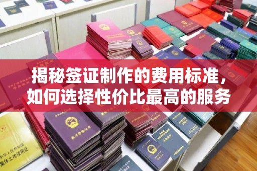 惠阳揭秘签证制作的费用标准，如何选择性价比最高的服务？