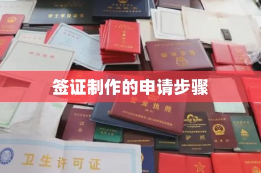 惠阳签证制作的申请步骤