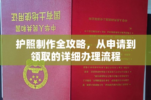 惠阳护照制作全攻略，从申请到领取的详细办理流程