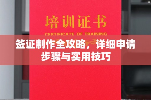 惠阳签证制作全攻略，详细申请步骤与实用技巧